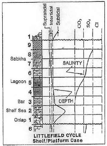 Littlefield Cycle diagram